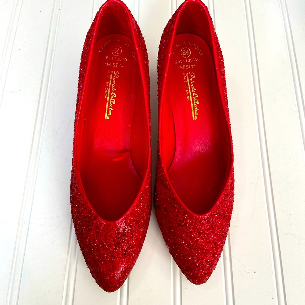 Dorothy’s Wizard of Oz Ladies size 9 Halloween Costume Shoes size 8.5 and Toto - Picture 4 of 6